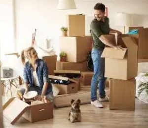 Stress-Free Moving Starts with the Right Choice