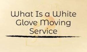Why Customers Consider Us the Best Movers in South Beach